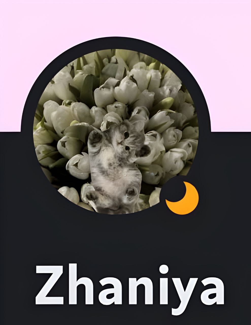 Жания